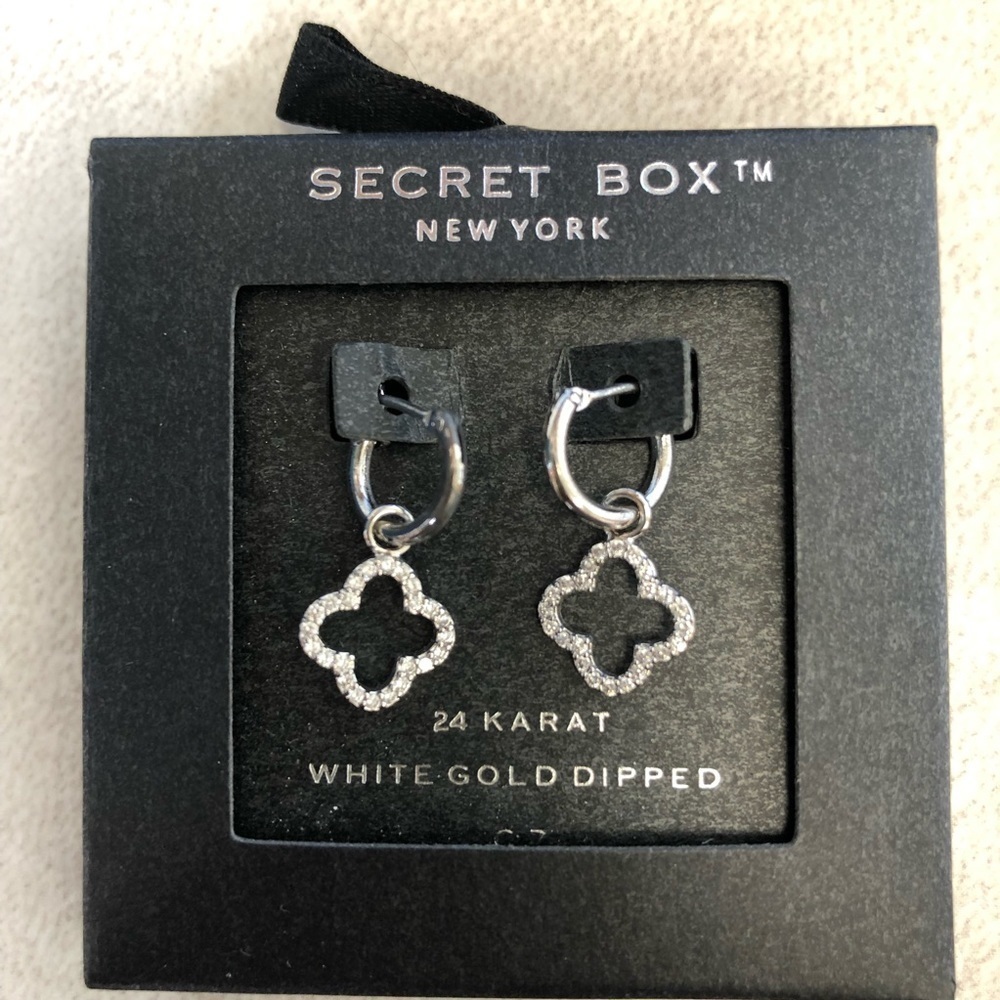 Secret Box 24 Karat White‎ Gold Dipped Earrings